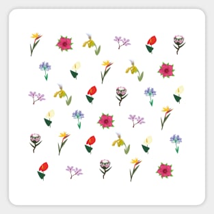 Madeira Island design inspired by it's flowers Magnet